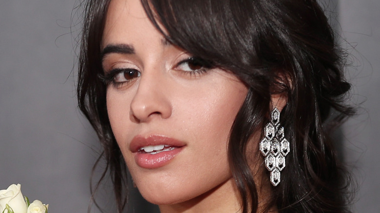 Camila Cabello on the red carpet