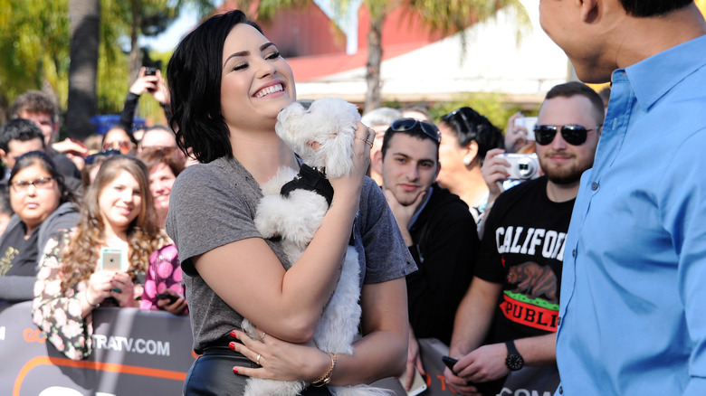 Demi Lovato with dog Buddy