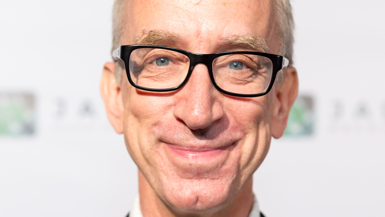 The Real Reason Andy Dick Was Arrested Again