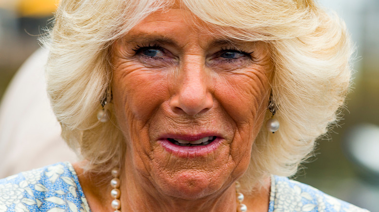 Camilla Parker Bowles posing