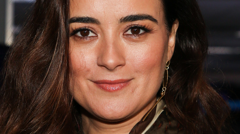 Cote de Pablo with slight smile