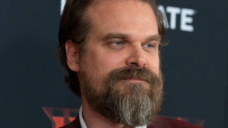 David Harbour on a red carpet 