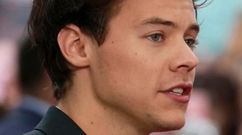 Harry Styles profile