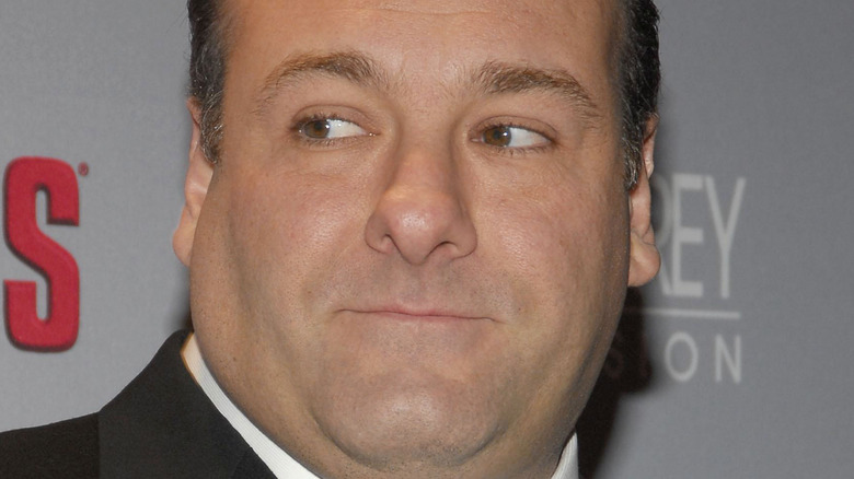 James Gandolfini in 2006