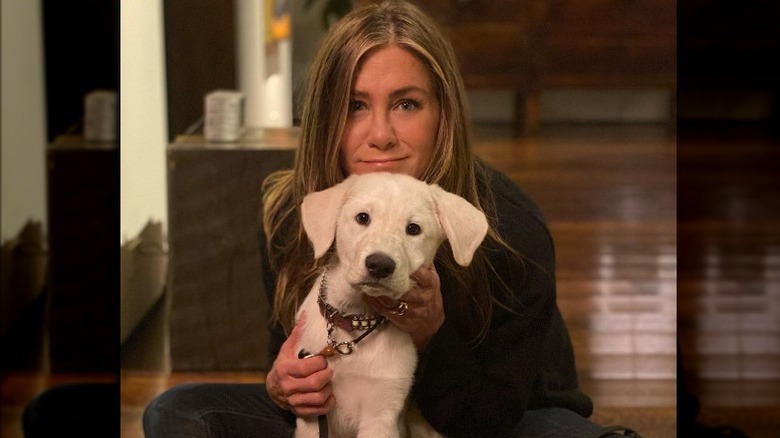Jennifer Aniston and her dog Lord Chesterfield