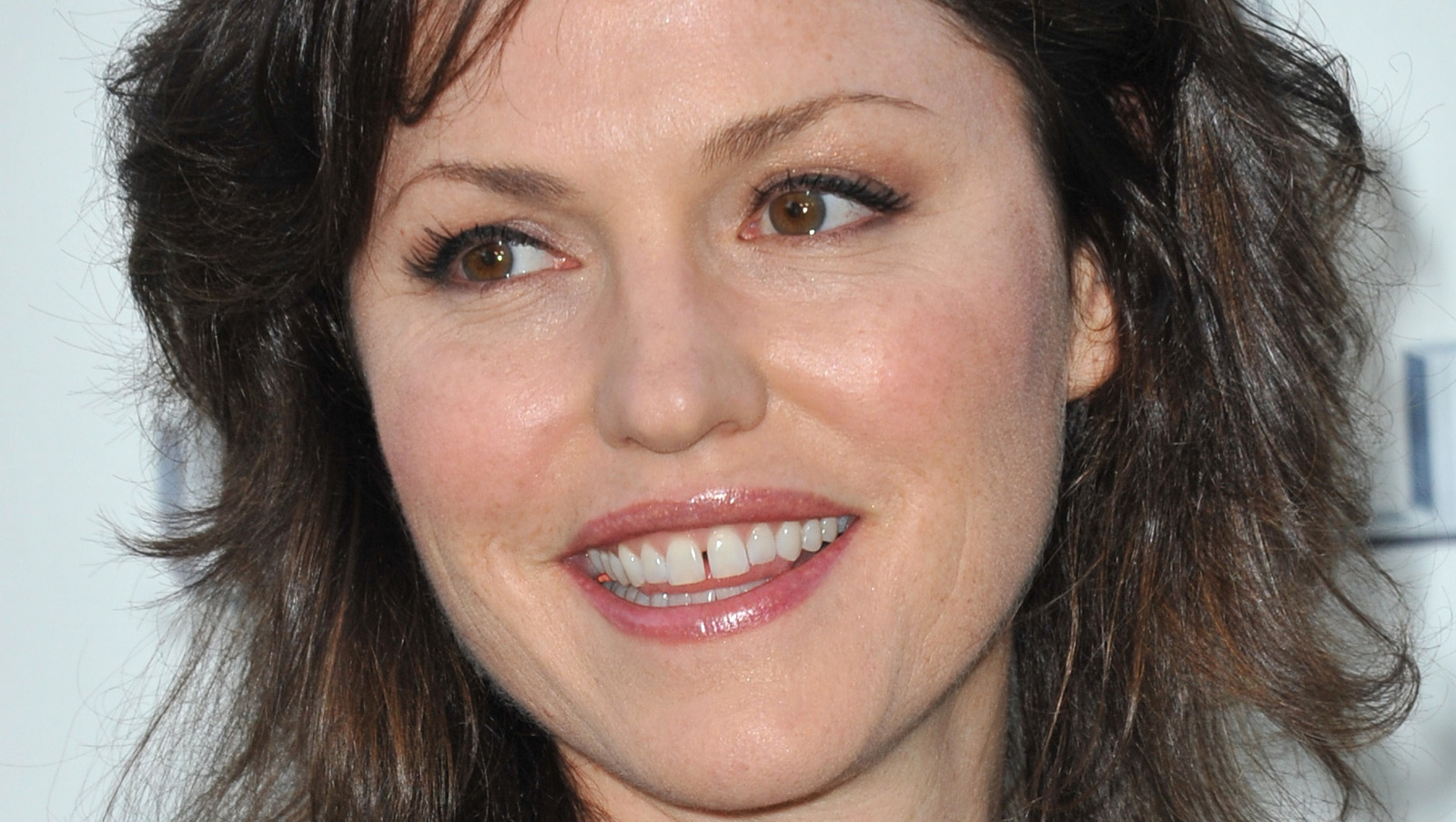 The Real Reason Jorja Fox Was Fired From CSI, image size:1600x903