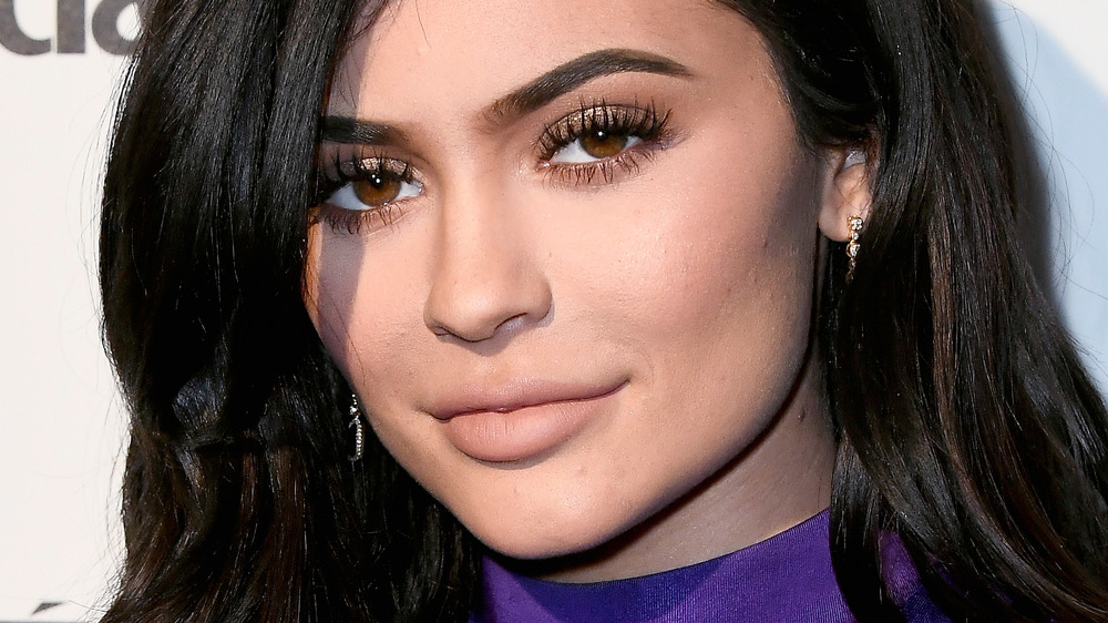 The Real Reason Kylie Jenner S Twitter Request Has Fans Seeing Red