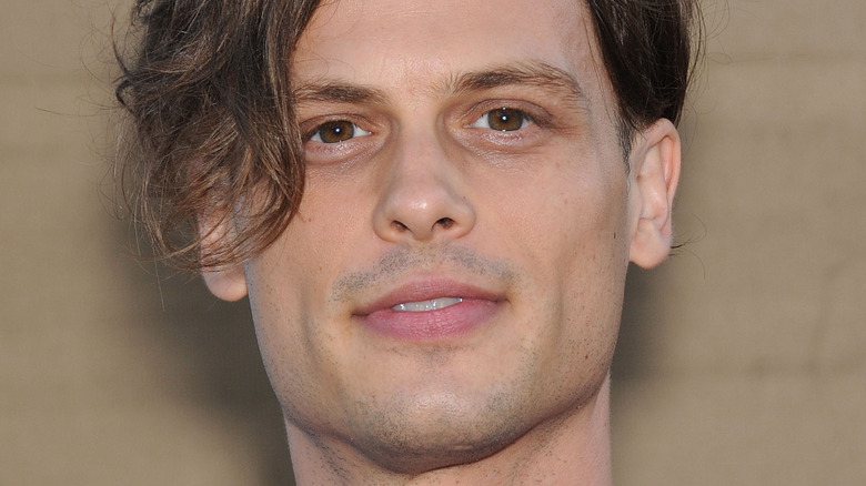 Matthew Gray Gubler smiling