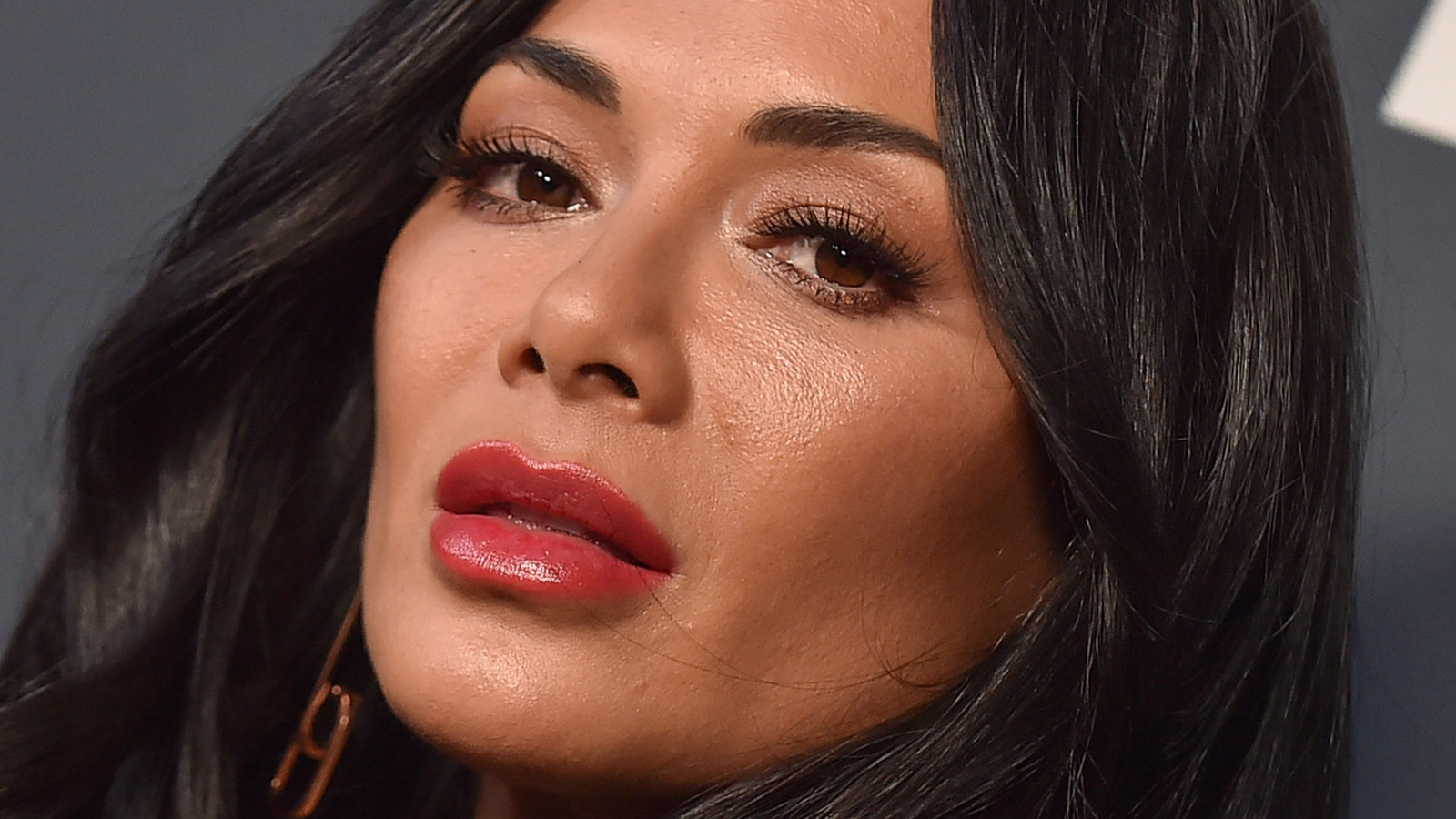 The Real Reason Nicole Scherzinger Is Being Sued By The Pussycat Dolls - Nicole Scherzinger Net Worth – Pussycat Doll To Powerhouse Performer