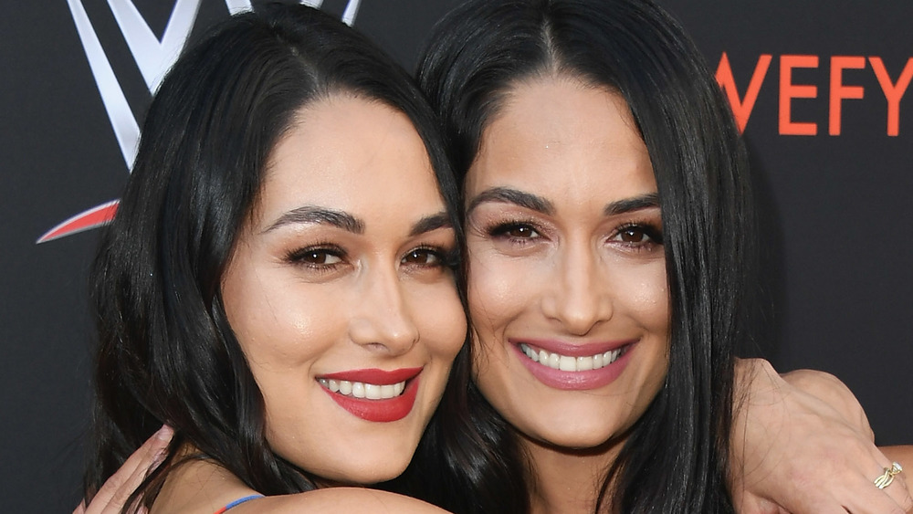 Brie and Nikki Bella embracing