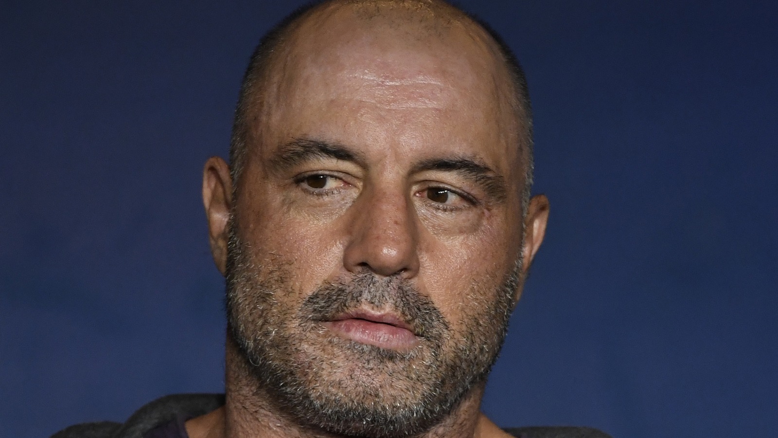 The Real Reason Podcast King Joe Rogan Apologized To Listeners