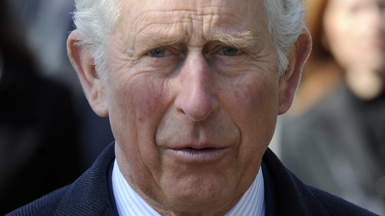 Prince Charles, Duke of Cornwall