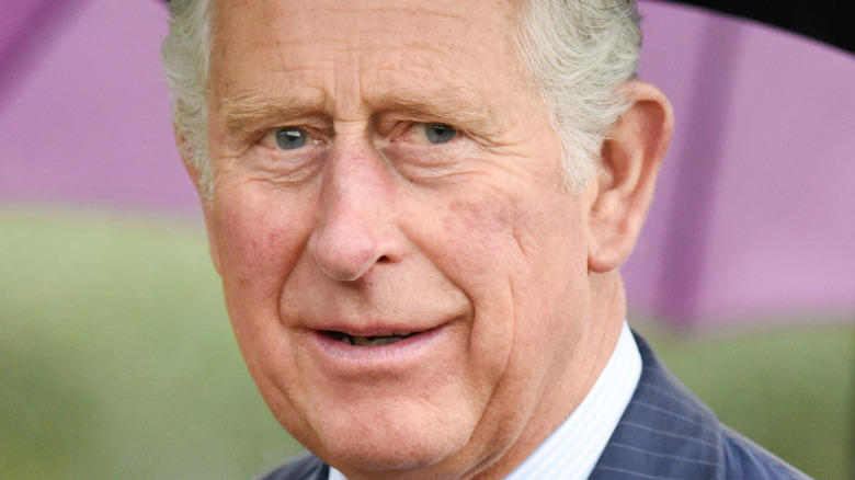 Prince Charles under an umbrella