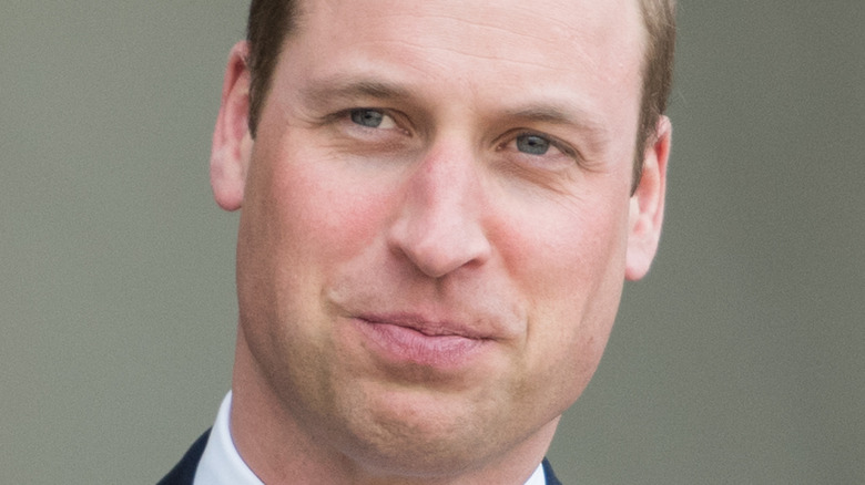 Prince William lips