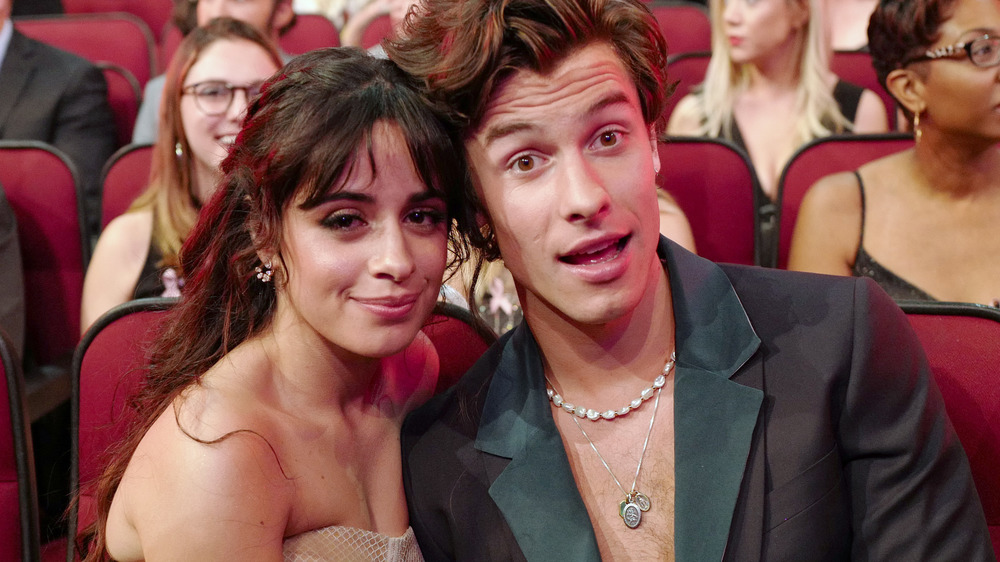 Shawn Mendes, Camila Cabello