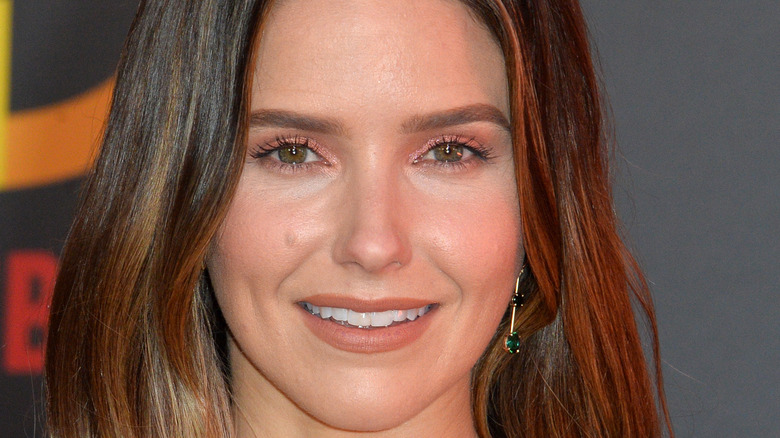 Sophia Bush smiling