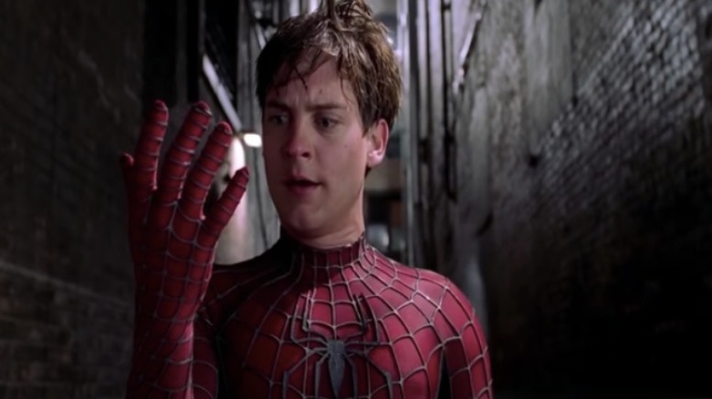 Tobey Maguire as Spiderman