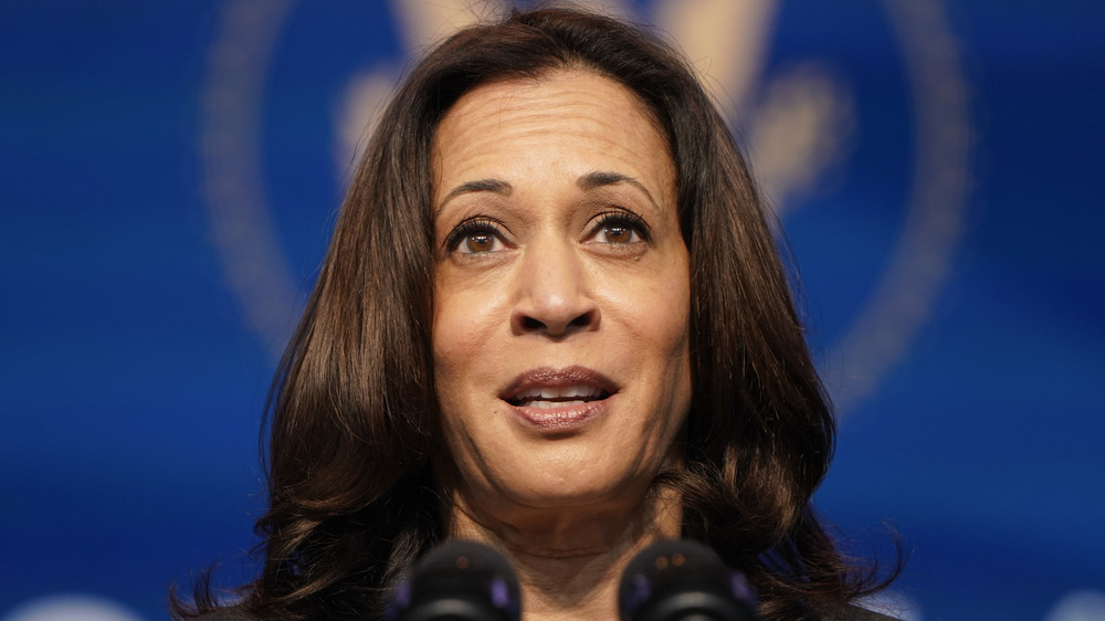 Kamala Harris at press conference