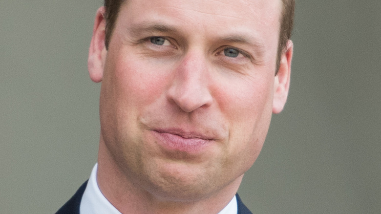 Prince William posing