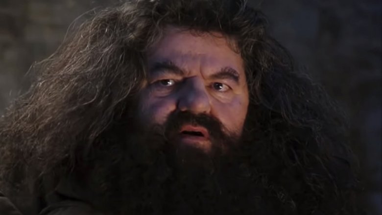Robbie Coltrane as Hagrid in Harry Potter