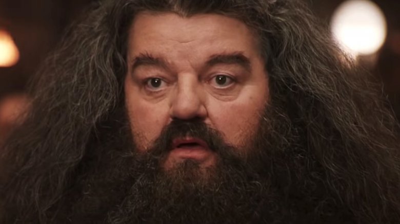 Robbie Coltrane as Hagrid in Harry Potter