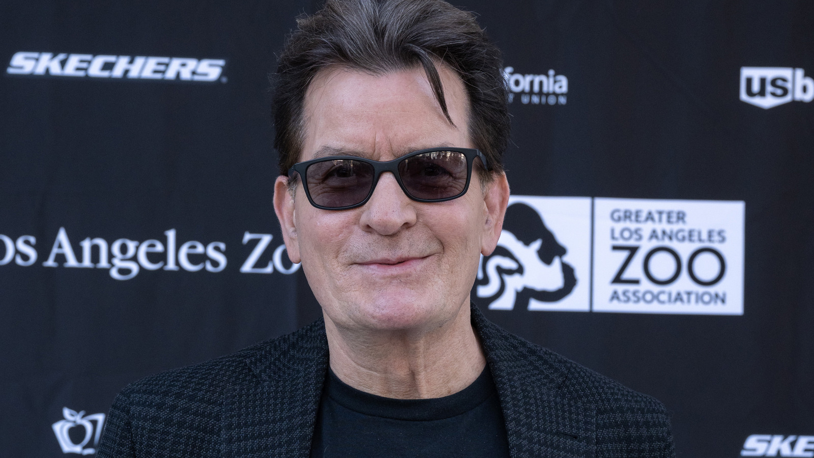 What Has Happened To Charlie Sheen And Why Is He Now Out Of The Spotlight Internewscast Journal