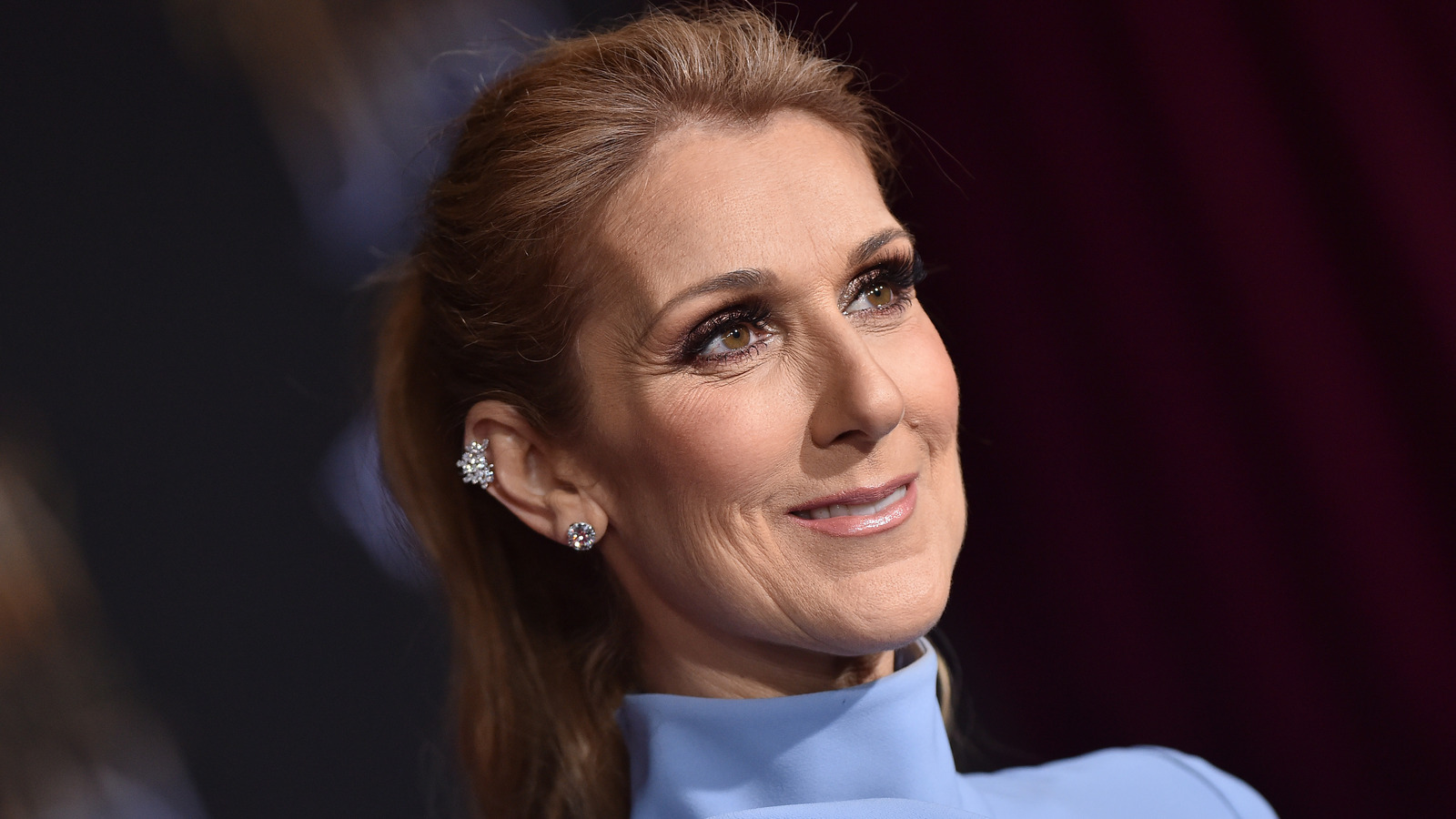 The Real Reasons You Don't See Much Of Celine Dion Anymore