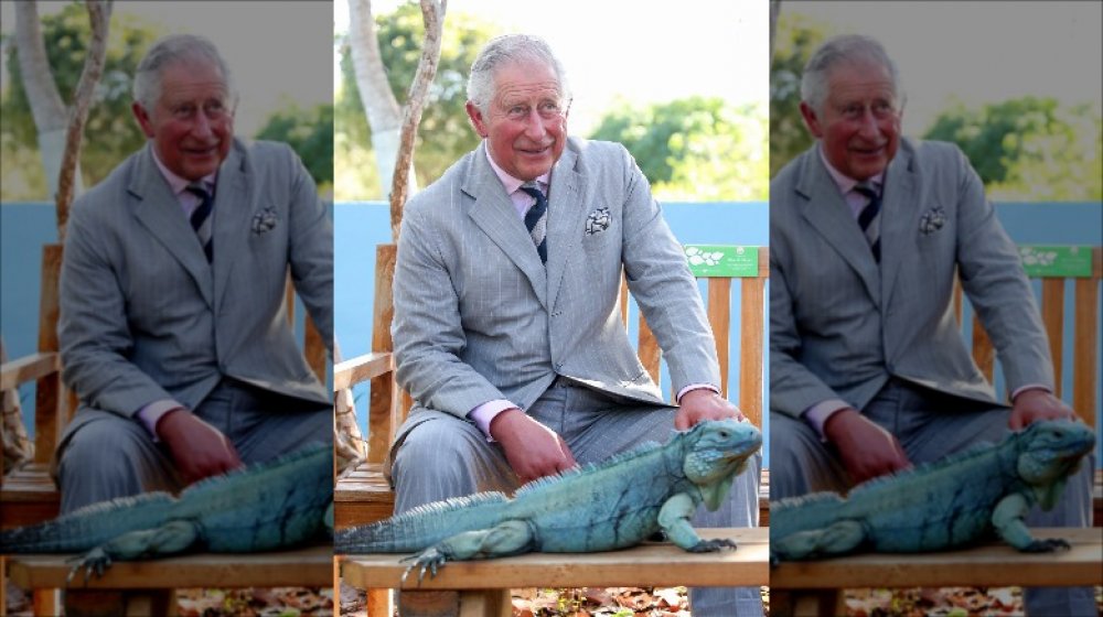 Prince Charles in the Cayman Islands