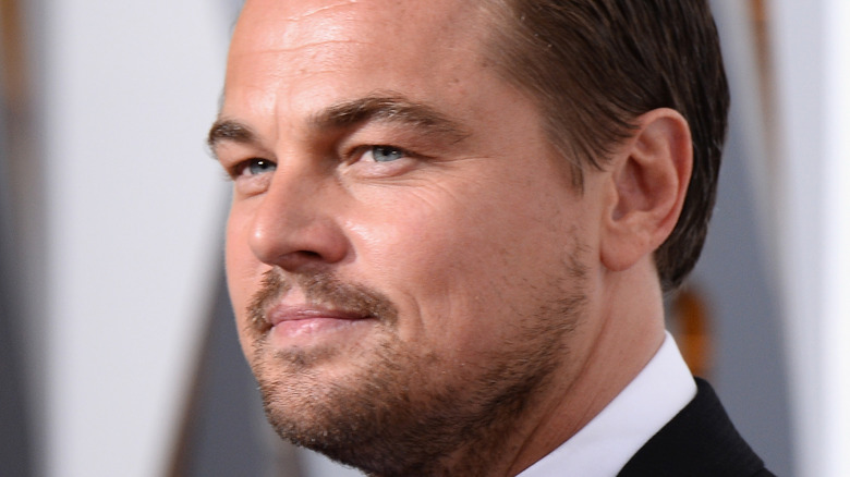 Leonardo DiCaprio red carpet side eye