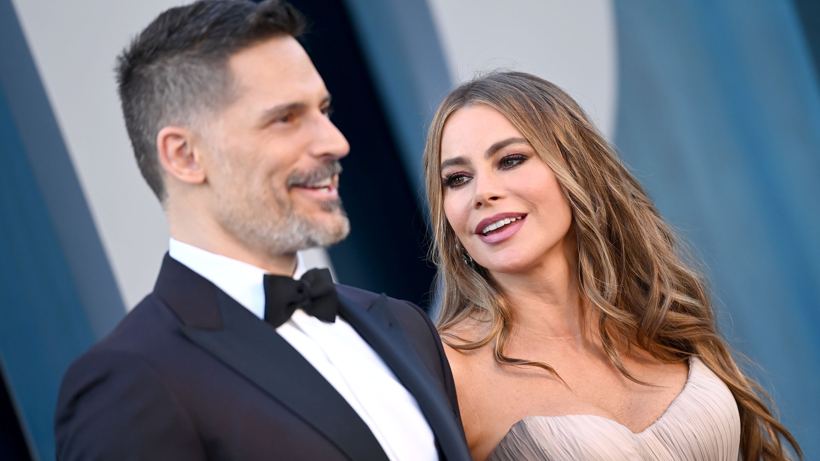 The Sad Reason Insider Says Joe Manganiello And Sofia Vergara's Marriage Fell Apart