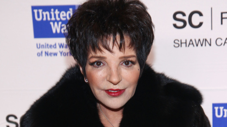 Liza Minnelli in fur coat