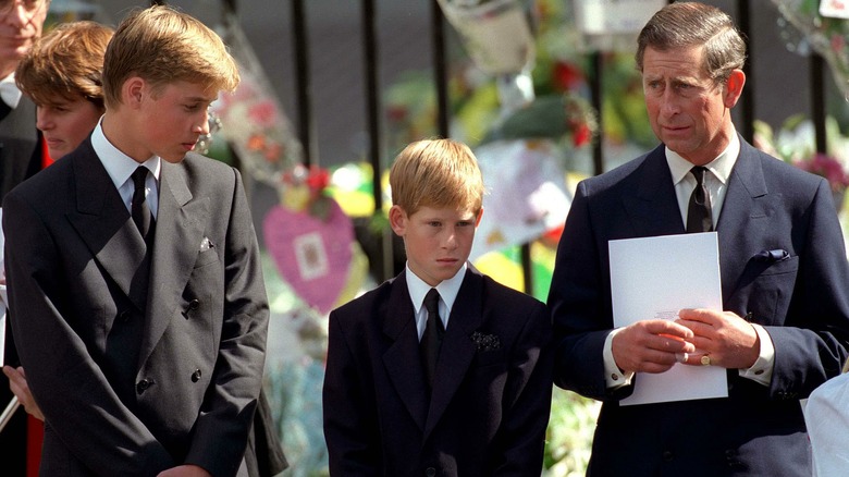 somber Prince William, Prince Harry, King Charles III 