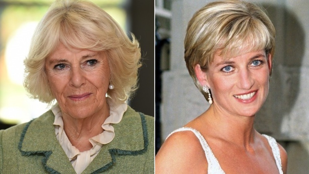Camilla Parker Bowles smiling (left), Princess Diana smiling (right)
