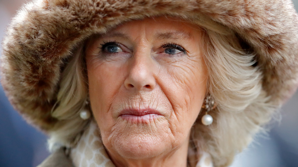 Camilla Duchess of Cornwall smirking 