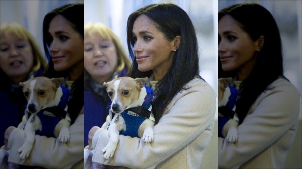 Meghan Markle