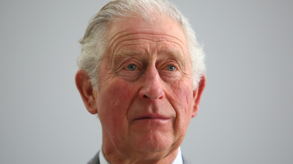 Prince Charles speaks during tour