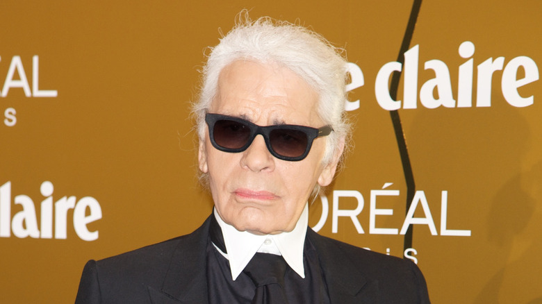 Karl Lagerfeld posing