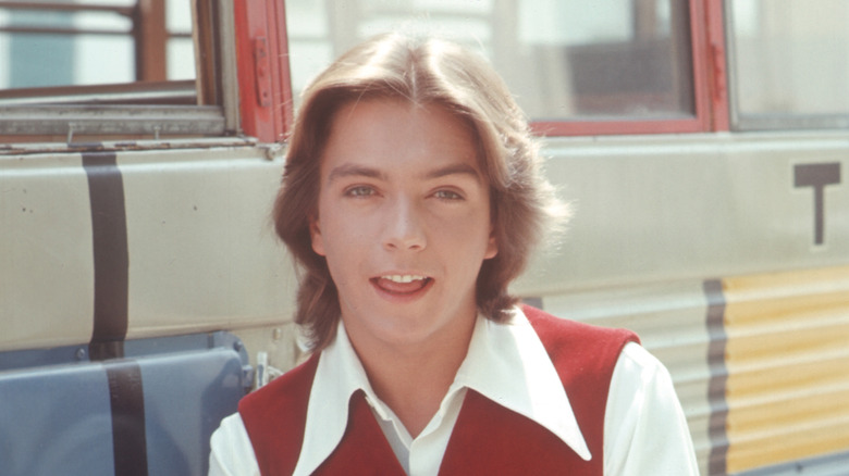 David Cassidy in his 1970s prime