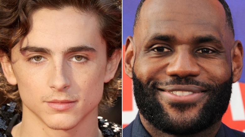 Timothée Chalamet LeBron James split screen
