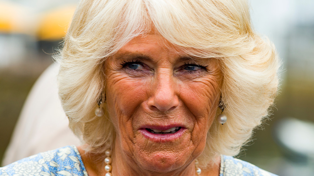 Camilla Parker Bowles feathered hair