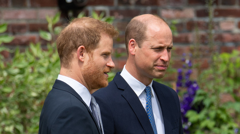 Prince William and Prince Harry standing