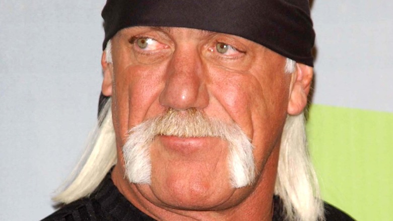 Hulk Hogan posing