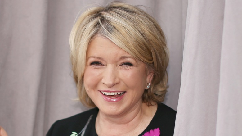 The Stunning Transformation Of Martha Stewart From 14 To 82
