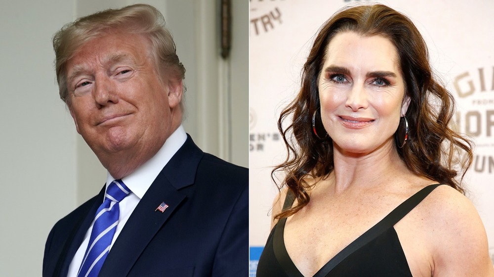 Donald Trump and Brooke Shields smiling