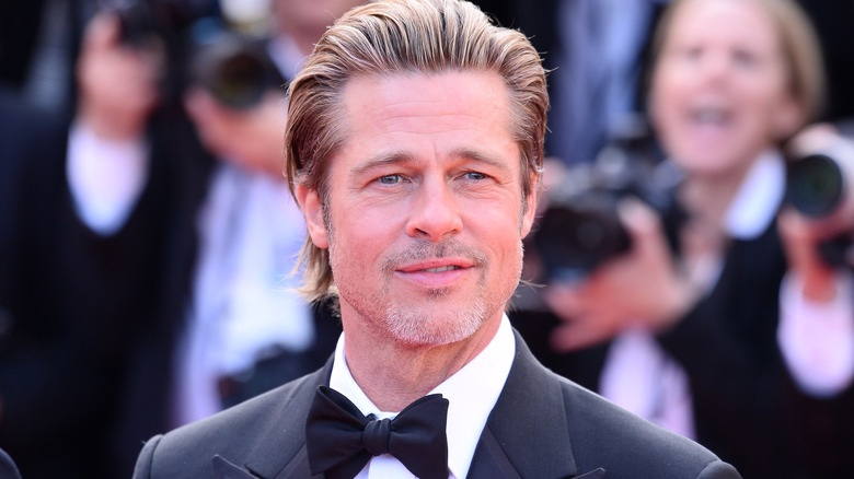 Brad Pitt  posing