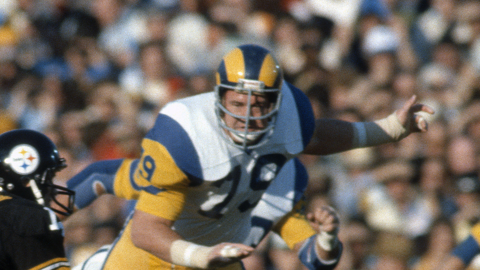 The Tragic Death Of Former NFL Star Mike Fanning