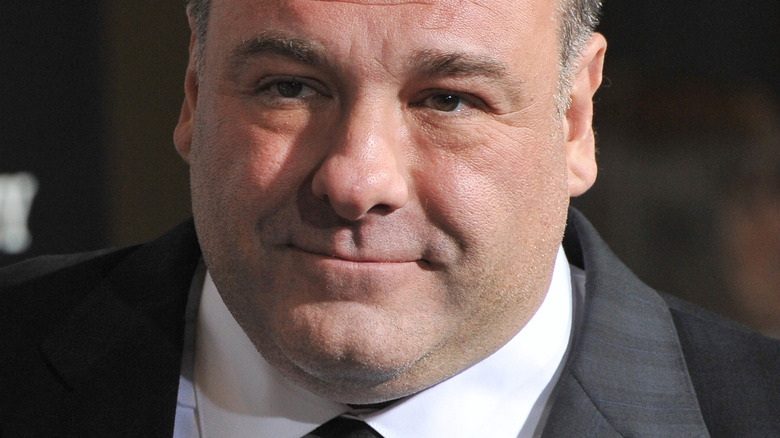 James Gandolfini red carpet 