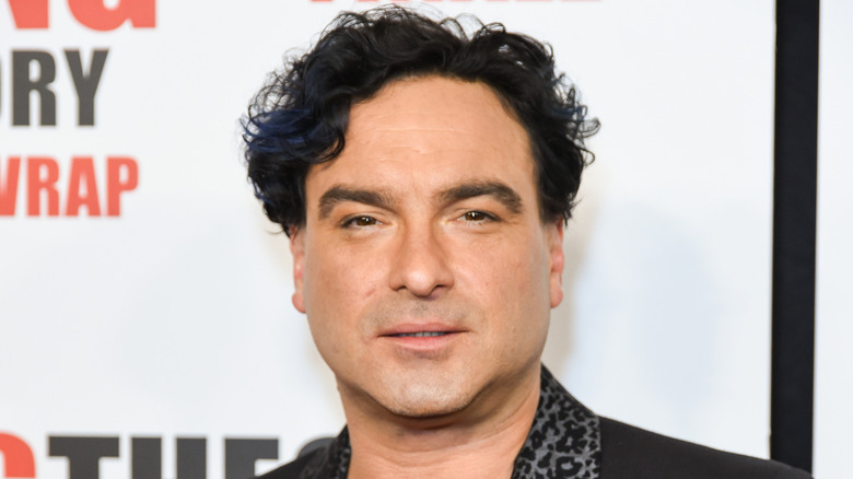 Johnny Galecki on red carpet