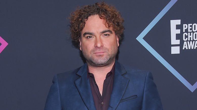 Johnny Galecki on red carpet