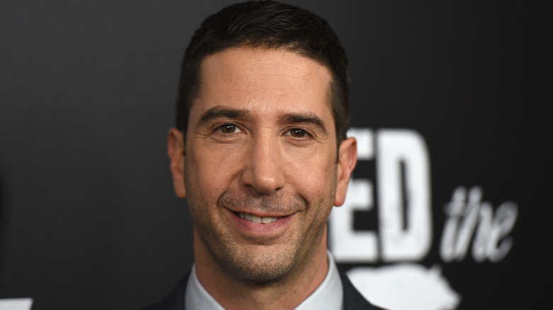 David Schwimmer smiling